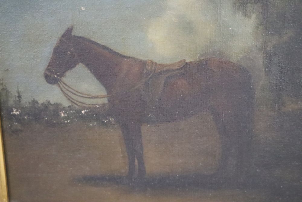 T. Blinks, oil on canvas, Racehorse in a stable, signed, 38 x 56cm, another apparently unsigned oil on canvas of a horse The Star Sou